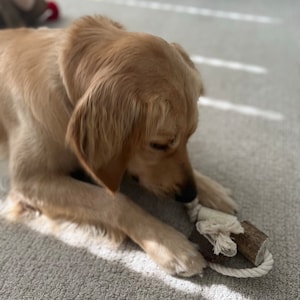Amy added a photo of their purchase