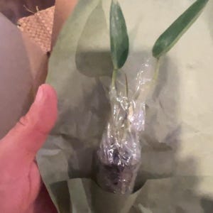 Karla added a photo of their purchase