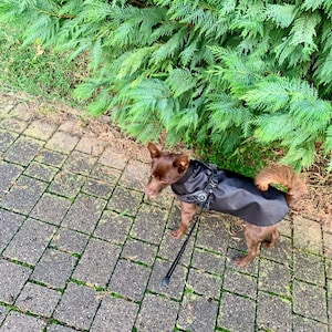 Nicole added a photo of their purchase