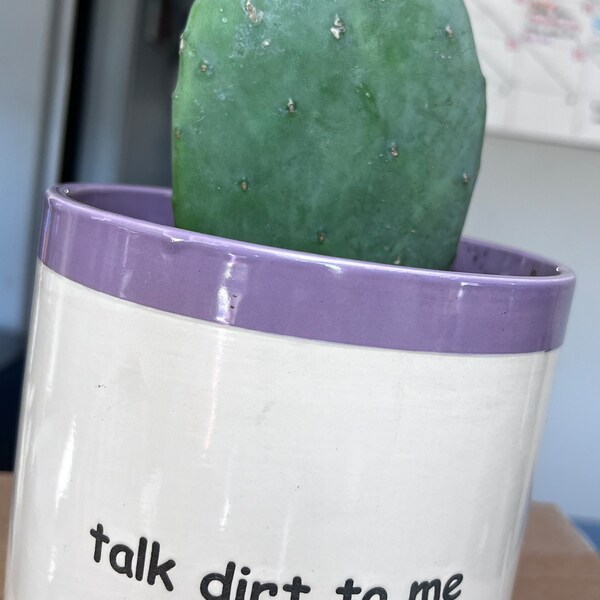 1 Cutting, Spineless Prickly Pear Cactus Pad, Opuntia Gomei, Old Mexico, Nopal