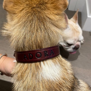Lindsey a ajouté une photo de son achat