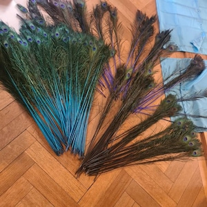 Lorenzo added a photo of their purchase