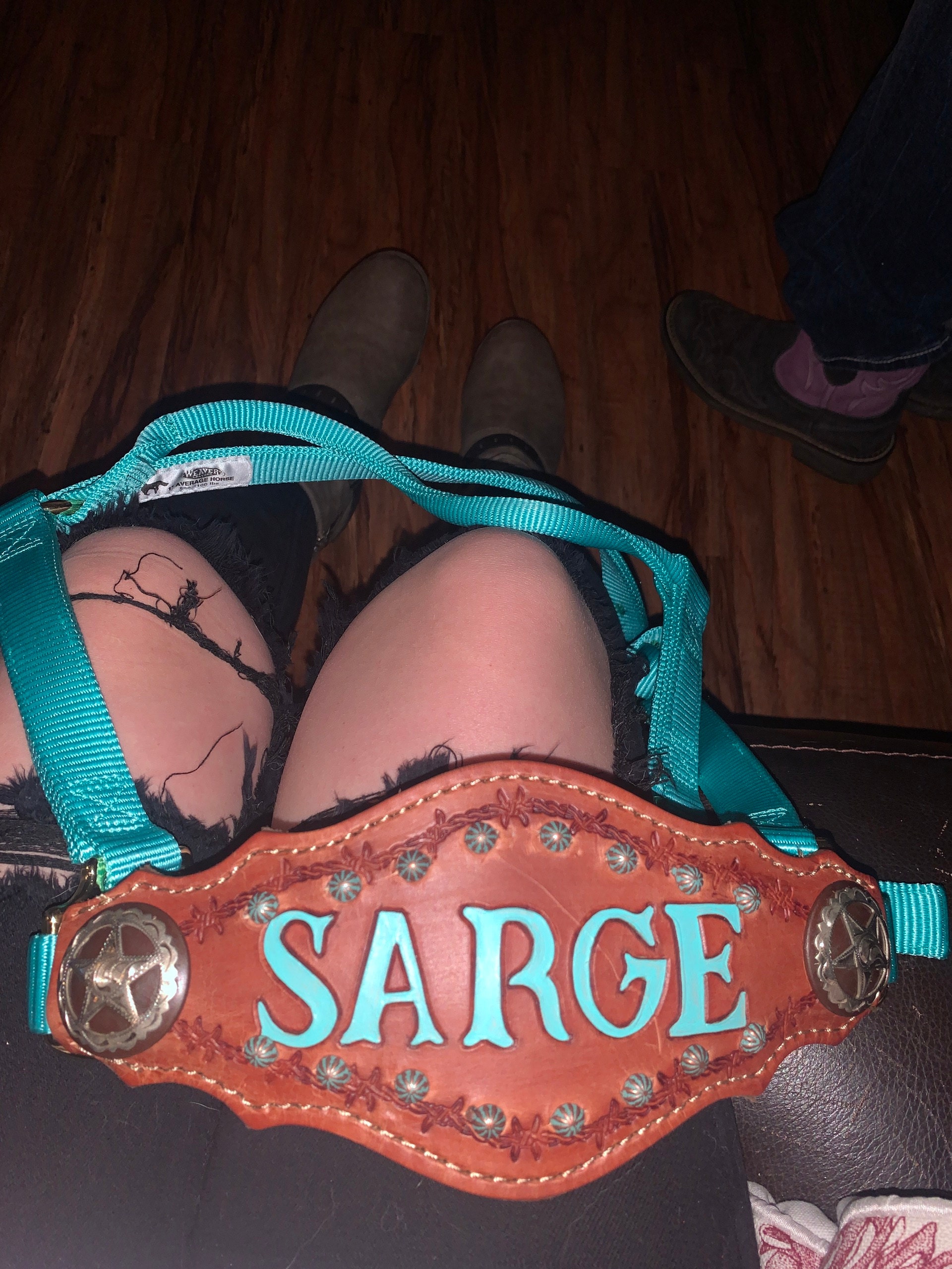 Custom Nylon Bronc Halter - Stronger Design Than Tab Style Leather Noseband