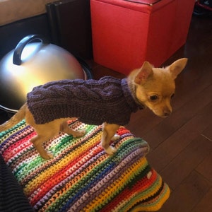 XXXS Dog Sweater, XXS Dog Coat, XXS Dog Clothes, Tiny Dog Sweater