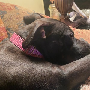 Kaylee added a photo of their purchase