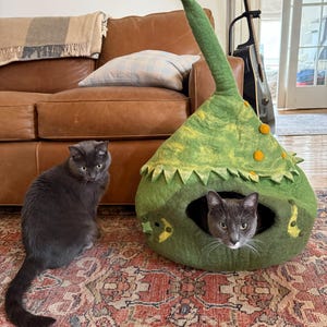 Emma added a photo of their purchase