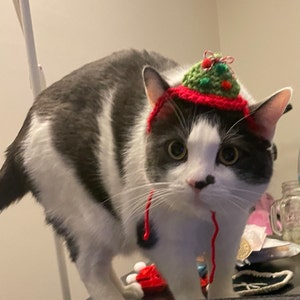 Julianne added a photo of their purchase