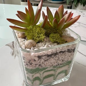 Vladimir ha aggiunto una foto del proprio acquisto