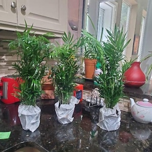 Becky added a photo of their purchase