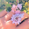Reviewer's image