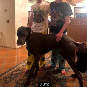 jaymee added a photo of their purchase