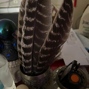 Jennifer added a photo of their purchase