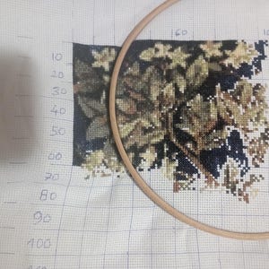 Ros added a photo of their purchase