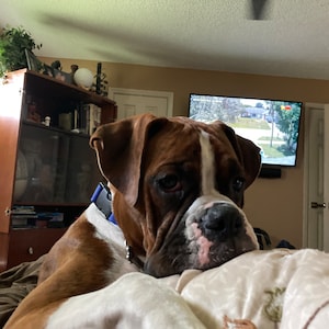 Brigitte added a photo of their purchase