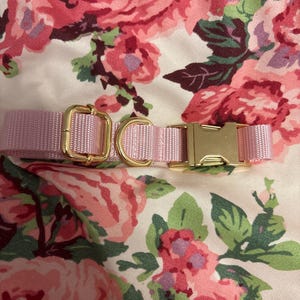 Lily adicionaram uma foto da sua compra
