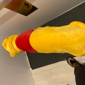 Baja Dog Poncho SIZE 3-mexican Dog Hoodie-mexican Poncho dog - Etsy