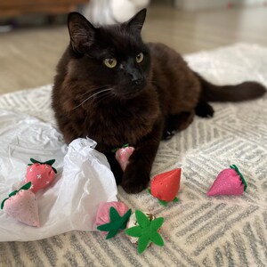 Sidney ha añadido una foto de su compra