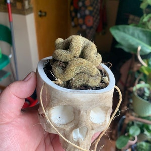 Mandy added a photo of their purchase