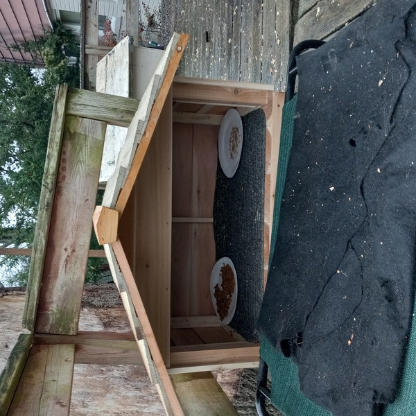 View of Large Outdoor Cat Feeding Station - Food Shelter for Feral Cats - Etsy