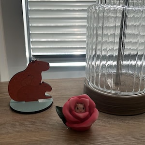 heather adicionaram uma foto da sua compra