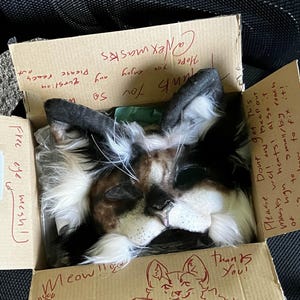 Mkay added a photo of their purchase