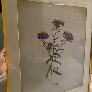 Cuenta inactiva ha añadido una foto de su compra