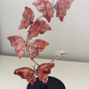 Gabriela added a photo of their purchase