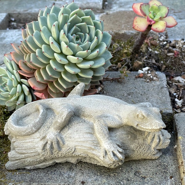 Little Lizard Garden – Diamond Art Club