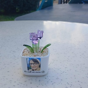 Maria added a photo of their purchase