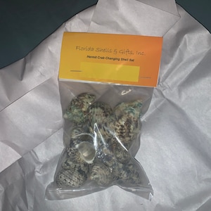 Alejandra added a photo of their purchase