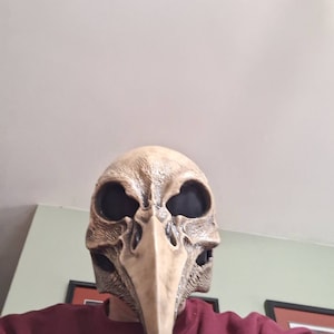 steve added a photo of their purchase