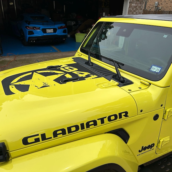 2017 FORD RAPTOR F150 EMBLEM COLORED CHROME OVERLAY VINYL - Foto 13