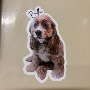 Colyn added a photo of their purchase