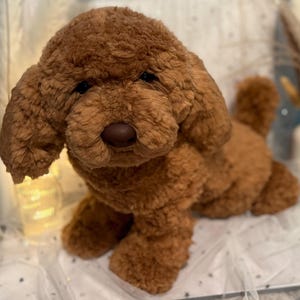 Lizzy さんが購入した商品の写真を追加しました
