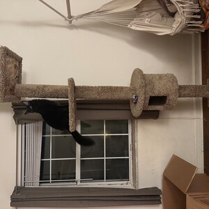 8 ft cheap cat tree