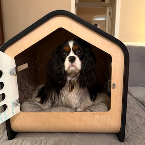 Lara added a photo of their purchase
