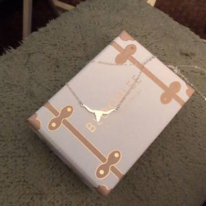 Customer photo, Longhorn Pendant Necklace
