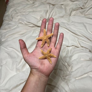 Terra ha añadido una foto de su compra