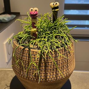 Sebastian added a photo of their purchase