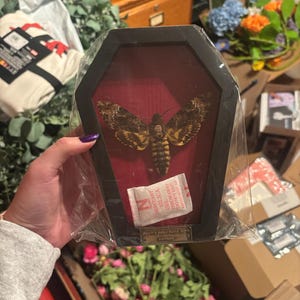 Teagan a ajouté une photo de son achat