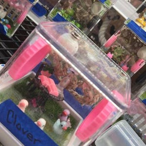 Rebecca added a photo of their purchase