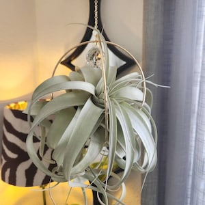 lavette added a photo of their purchase