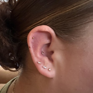 sofia added a photo of their purchase