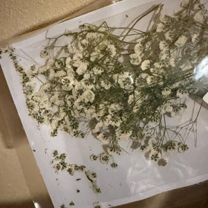 Kaylee added a photo of their purchase