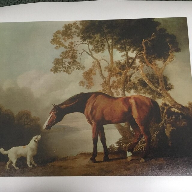 Bay Horse and White Dog Friends Animal Landscape Lake Painting by