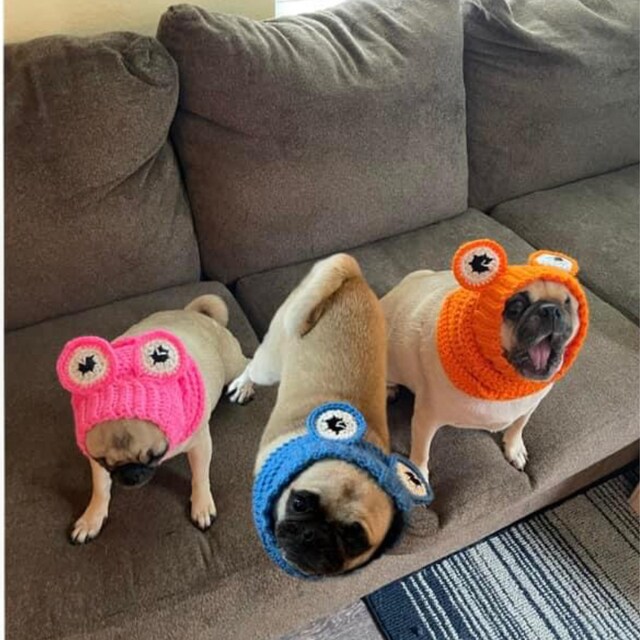Crochet Pattern #086 - Frog Snood, Dog Ear Warmer, Dog Hood - Pdf