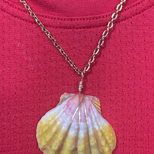 Caitlin ha aggiunto una foto del proprio acquisto