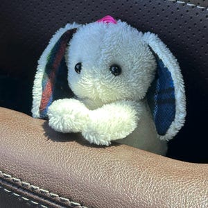Lily ha añadido una foto de su compra