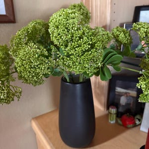 Mandy added a photo of their purchase