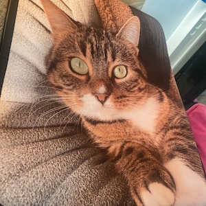 Tracy added a photo of their purchase